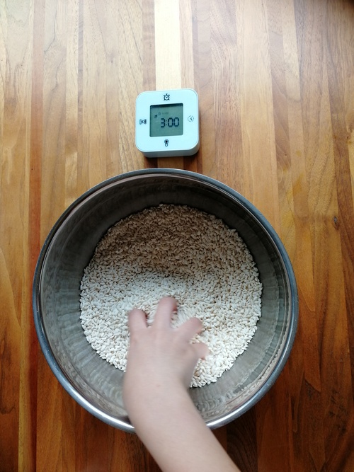 米こうじと食塩を清潔な手で揉みこむように3分混ぜ合わせる。