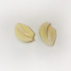 小鍋ににんにく、牛乳を加えて火にかけ、沸騰したらごくごく弱火で20分煮る。