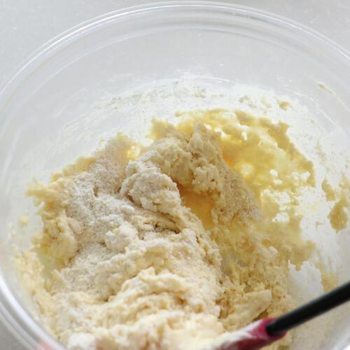 ふるっておいた粉類を一度に加え、ヘラで切るように混ぜる。
