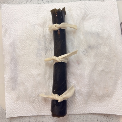 ②をきつめに巻き、かんぴょうで3か所縛る。
