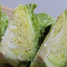 キャベツをさらに4〜5等分にざく切りにする。