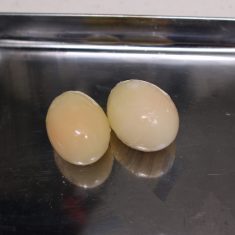 冷凍庫から取り出した卵の殻をむく。周りをさっと水で濡らすとむきやすい。