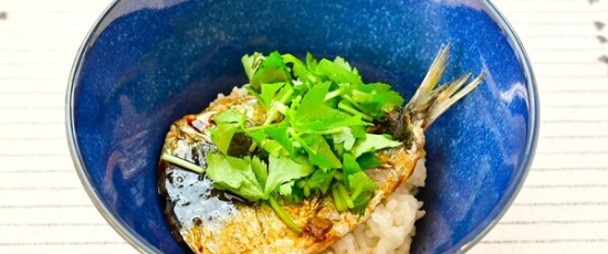 ガスファンヒーター | リビング | ノーリツ